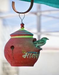 ધર્મની નજીક 