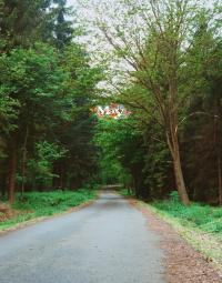 એકલતા ( અલગતા) થી  એકાંત ( એકાકિતા) 