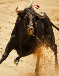 પંથુભાનું પરાક્રમ.