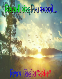 વિસરાતી સંસ્કૃતિના સ્મરણો...