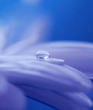 સંવેદના