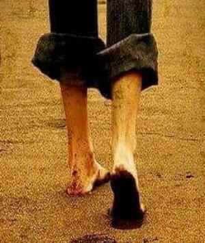 ઇત્તફાક