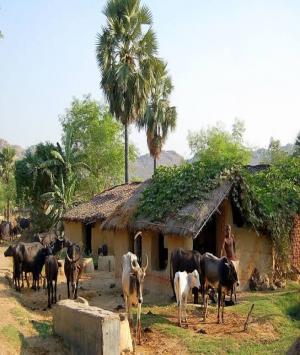 ગામડે જવુ છે