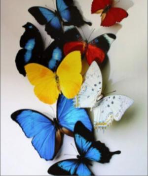 লিভ টুগেদার