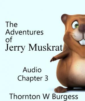 The oracle of the smiling pool - The Adventures of Jerry Muskrat