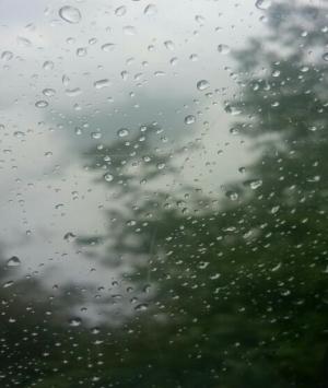 একটি চিঠি ও কান্না গুলি 