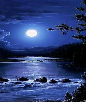 তারার পাশে