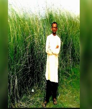 হারানো সুখ 