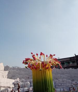 অভিনন্দন