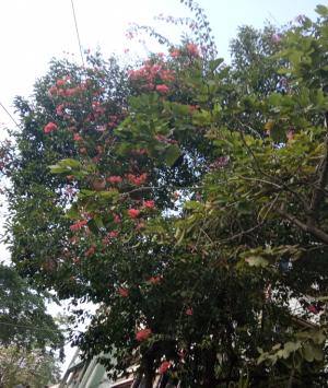 তুমি-আমি