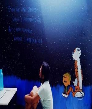 शिंदेशाही