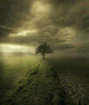 અસ્તિત્વ