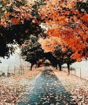 তিন পাহাড়ের স্বপ্ন 