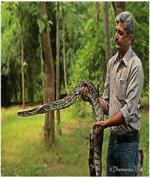 વિચાર વલોણું 