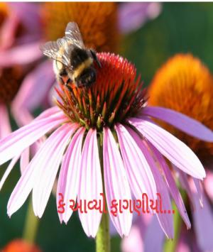 કે આવ્યો ફાગણીયો 