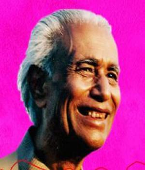 ठेले पर हिमालय