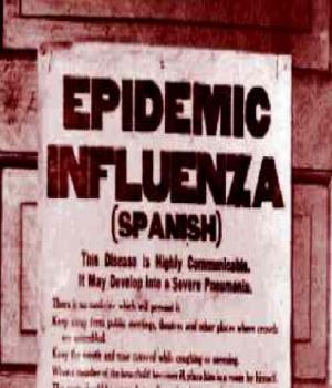 Notes From Zaria City: Profound Analogy And Affinities Between Spanish flu And Novel Covid 19