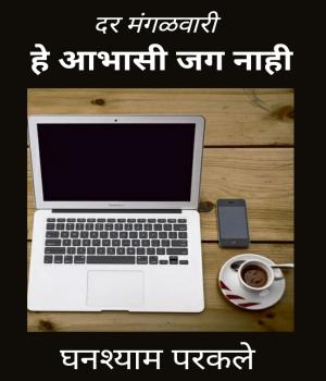 हे आभासी जग नाही