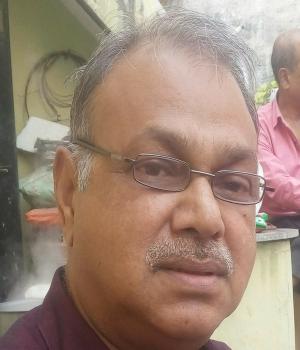 প্রনব বাবুর লিমেরিক