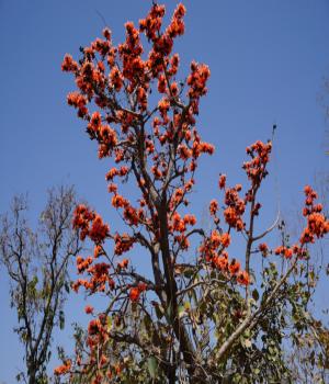 प्रायश्चित