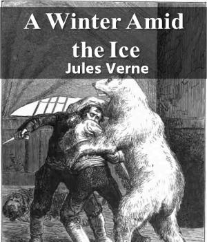 A Winter Amid the Ice 