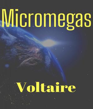 Micromegas