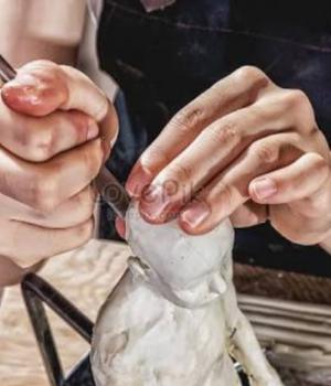 आयुष्याचे शिल्पकार