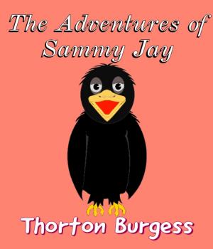 The Adventures of Sammy Jay