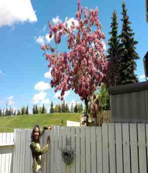 बेटियाँ 