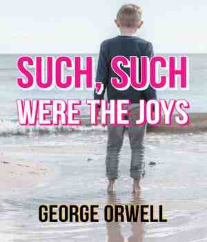 SUCH, SUCH WERE THE JOYS