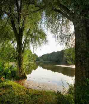 निसर्ग :एक चिंतन