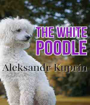 THE WHITE POODLE