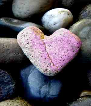 अधूरी कविताओं के बारे में