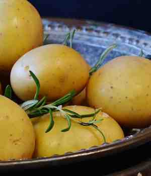 A potato-its proper use and nutrients