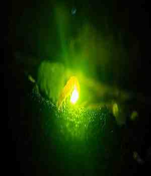 ખોટું ન લાગે તો કહું! – 53  