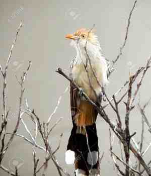 ખોટું ન લાગે તો  કહું! – 55