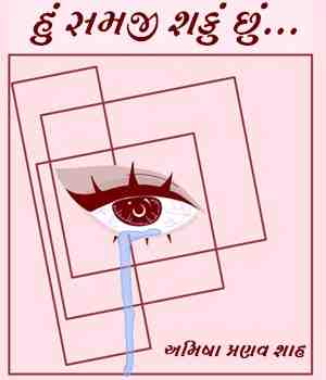 હું સમજી શકું છું...