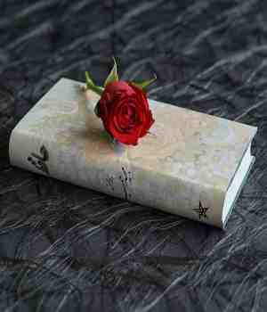 मी कविता लिहिली