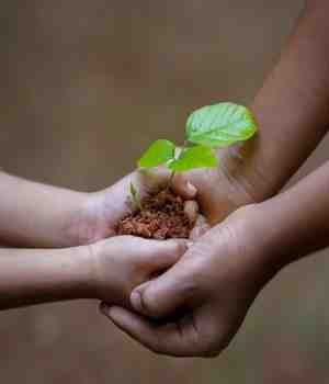 माणूसकीचं नातं