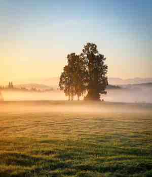 अमर स्पर्श