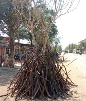 होळी रे होळी