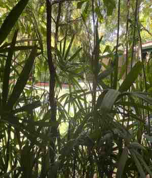 সম্পর্কের হিসেব