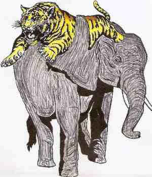 চাঁদে ঘুরে আসার রূপকথা