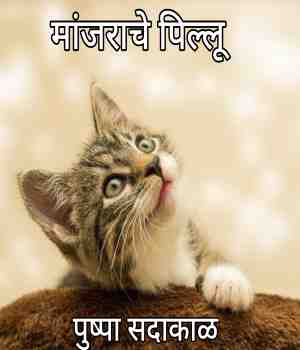 मांजराचे पिल्लू