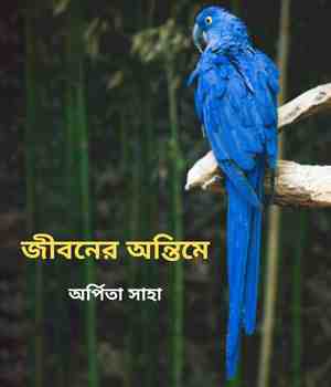 জীবনের অন্তিমে