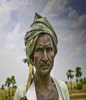 शेतीविषयक राजकीय धोरण