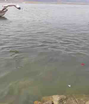 व्यथा हर घर की