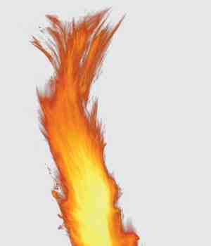 સળગતો લેખક