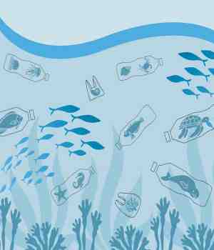 जीव धोक्यात टाकले