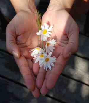 मानवजन्माचं उद्दिष्ट